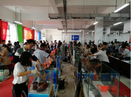 1507776272411900.png 1507776272411900.png