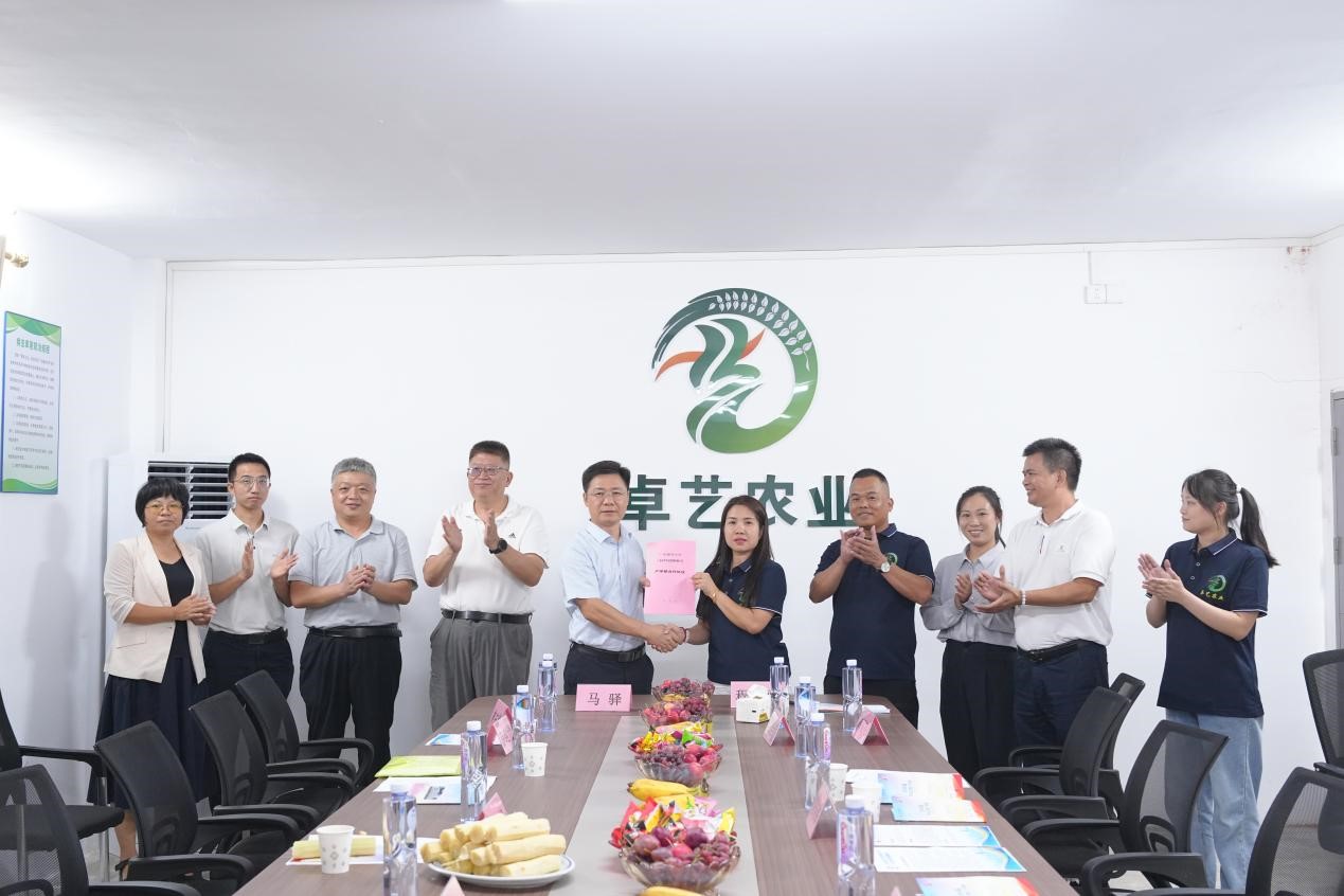 9CA411D5C4C23FF49891D8DD3AB_6F0D8116_23B13