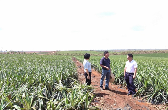 C28E71C8B018F716F9A4D40D8BF_FD9DE0F1_28202