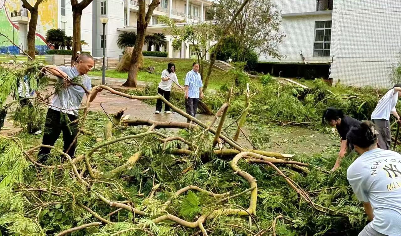 DA1976036786B14B95D8C342070_D3122023_8C7AA