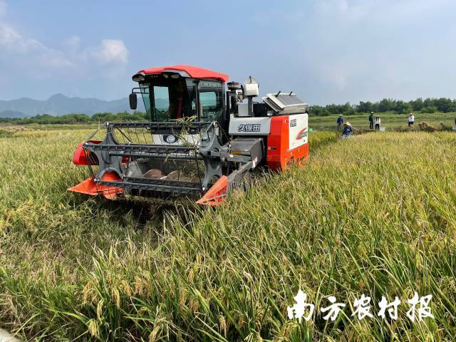 ��ҳ|�Ϲ�NG28��������Ʒ��ʵ������