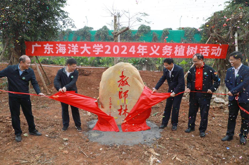 94402E28854BBBFD806E038E063_F35898D6_2782C