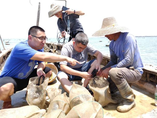 C5CFEB09575971516AE1167C849_0A48434F_72193 C5CFEB09575971516AE1167C849_0A48434F_72193