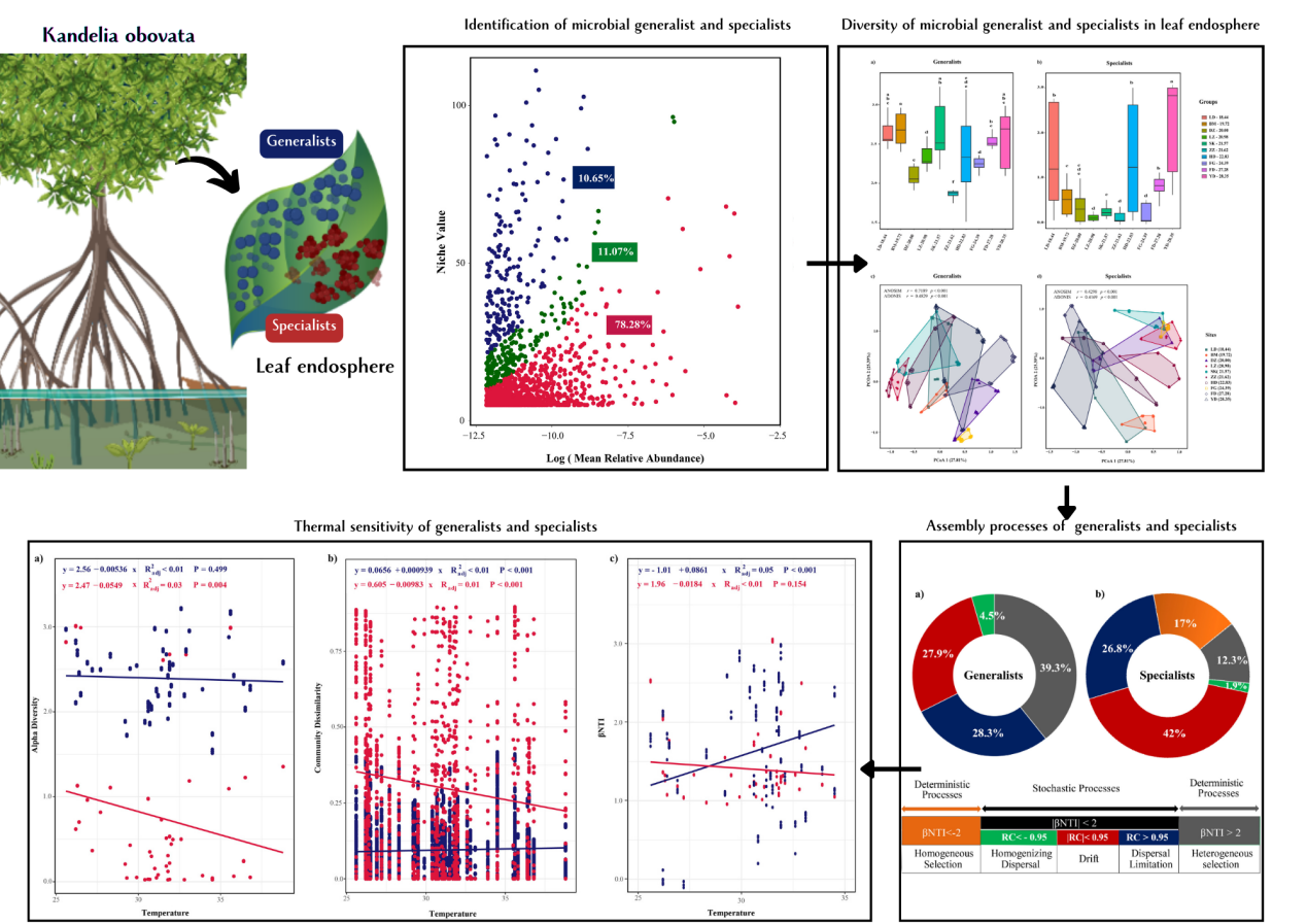 D3A71110175E579460A5BE323F5_5AEB55CC_834F7