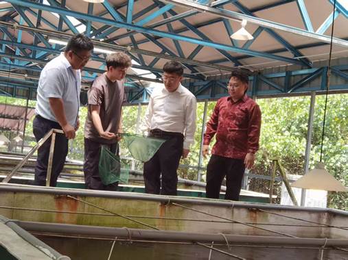 ��ҳ|�Ϲ�NG28��������Ʒ��ʵ������