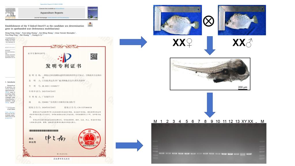 E28D3CB0D088443022AC9B024A5_88D3BBDB_F1C0