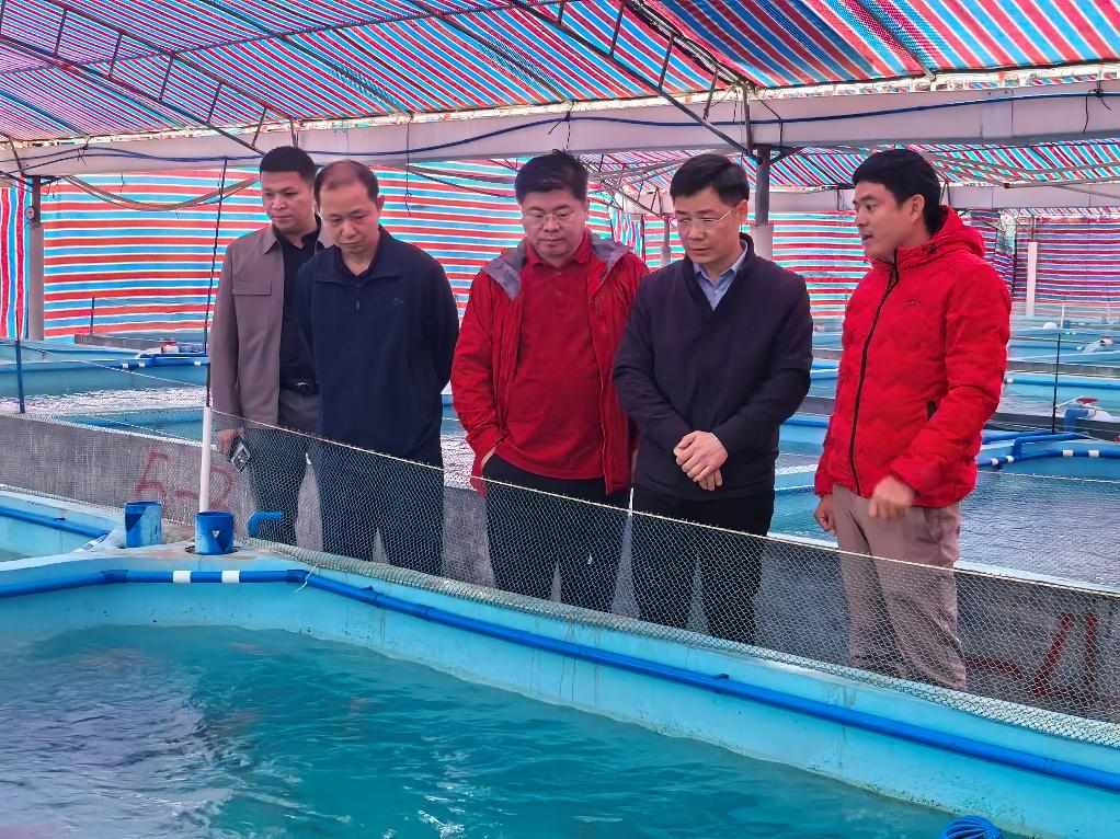 69FF832D865BB4D299C7E90E902_EBB46215_32887