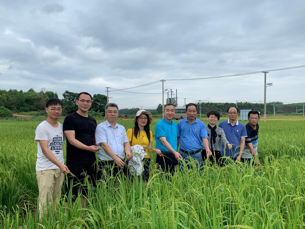 8E070DFE39973764D6B42C4B85C_4AB8157C_23B30