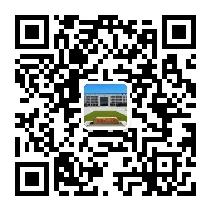 ��ҳ|�Ϲ�NG28��������Ʒ��ʵ������